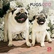 Pugs 2012 Calendar