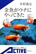 �������E�`�ɂ���Ă��� (��g�A�N�e�B�u�V��)