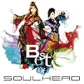 BEST OF SOULHEAD (��������)(DVD�t)