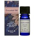 �t�����L���Z���X<5ml>�yHTRC3�z