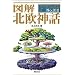�}�� �k���_�b (F-Files No.010)