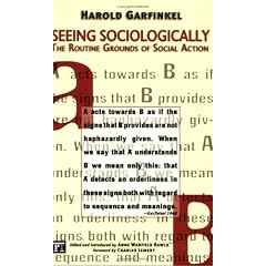 Seeing Sociologically: The Routine Grounds Of Social Action (Great Barrington Books)