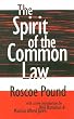 The Spirit of the Common Law
