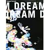 DREAM DREAM