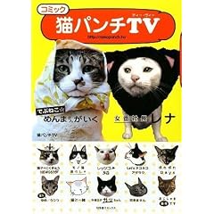 �R�~�b�N �L�p���`TV