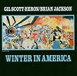 Winter in America (Reis)