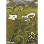 �V���t�H�j�b�N�E���C�� [DVD]