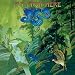 �t���C�E�t�����E�q�A