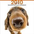 THE DOG �_�b�N�X�t���h 2010�N �J�����_�[