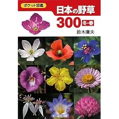 ���{�̖쑐300 �~�E�t (�|�P�b�g�}��)