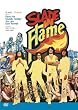 Slade in Flame [DVD] [Import]