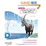 Foundation ActionScript 3.0 Image Effects (Foundations)
