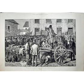 1881 ���̓y�n���[�O�h�a�̃A�C�������h�̕ۈ����̋��̔�
