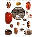 �l�C�`���[�E�H�b�`���O�K�C�h�u�b�N