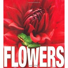 Flowers (MiniCube)