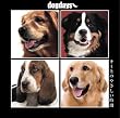 dogdays-�L�~�Ƃ̂₳��������-