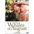 �����̌~ [DVD]