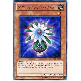�V�Y���J�[�h �y �O���[�A�b�v�E�o���u �z STBL-JP018-N �s�X�^�[�X�g���C�N�E�u���X�g�t