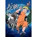 �����NARUTO-�i���g- �勻��!�݂��Â����̃A�j�}�����������Ă΂� [Blu-ray]