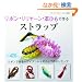 ���{���E�������[���E�v�Ђ��ō��X�g���b�v (�v�`�u�e�B�b�N�V���[�Y 450)