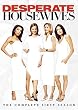 Desperate Housewives: Complete First Season [DVD] [Import]