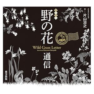 �C���X�g�@��̉ԒʐM  