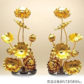 ��� 8��(���)(����24cm�~��14cm)�����d�p�̕���E���(���傤��)