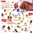 �J�v�Z�� �Ԃ猢 �S10��Z�b�g