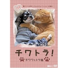 �V���t�H���X�gDVD �`���g��! ���`�����ƃg���L���z(����)�Ɛ��@�ɂ������̃r���[�e�B�t�H�[�Ȗ���!