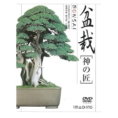 �~��[�_�̏�] [DVD]