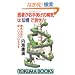 ��҂����肠���̕a�C�́u�卜�v�ŏ���!�\��a���ǂ̐V��������������� (�g�N�}�u�b�N�X)