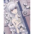 DARKER THAN BLACK -�����̑o�q- 4 [Blu-ray]