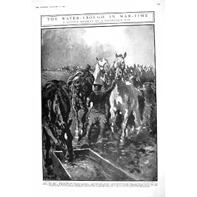 1916 ���̔n�푈�̐����炢�̃t�����X Yeomanry �̃p�g���[���̃x�h�E�B���̃L�����v El Dabaa
