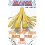 BLEACH 36 (�W�����v�R�~�b�N�X)
