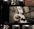BULLETS-Shooting Super Star-