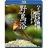 �V���t�H���X�gBlu-ray �쒹�� �n�C�r�W�����f���Ɩ����Ŗ����ރo�[�`�����E�o�[�h�E�H�b�`���O(Blu-ray Disc)