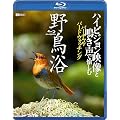 �V���t�H���X�gBlu-ray �쒹�� �n�C�r�W�����f���Ɩ����Ŗ����ރo�[�`�����E�o�[�h�E�H�b�`���O(Blu-ray Disc)