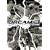DREAM.3 ���C�g���O�����v��2008 2nd ROUND [DVD]
