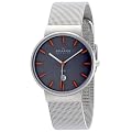 [�X�J�[�Q��]SKAGEN �r���v basic steel mens 351LSSMO �P�[�X��: 34mm �����Y [���K�A���i]