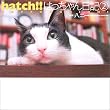 hatch!!�͂��������L�q2�r