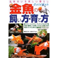�����̂���y������炵 �����̎������E��ĕ��\��ށE�I�ѕ�����̂��ׂĂ��킩��