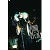 �֏����� Live@����NHK�z�[�� 2008.10.3 [DVD]