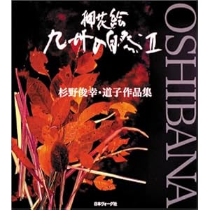 ���ԊG�E��B�̎��R�q2�r�\����r�K�E���q��i�W (�ӂ����ȉԋ�y��)