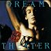 Dream Theater�Ƃ��̎���