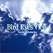 Bird Eyes View / Acoustic Asturias