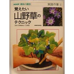 �o�������R�쑐�̃e�N�j�b�N (NHK��̉��|�\���H���)