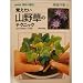 �o�������R�쑐�̃e�N�j�b�N (NHK��̉��|�\���H���)