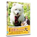 �f��� �������񂿂̌� [DVD]