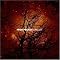 iTune Top25