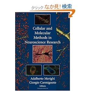 【クリックでお店のこの商品のページへ】Cellular and Molecular Methods in Neuroscience Research